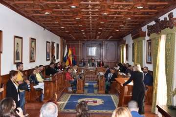 La investigadora Alejandra Sanjuan reclama en el Pleno de Telde un 